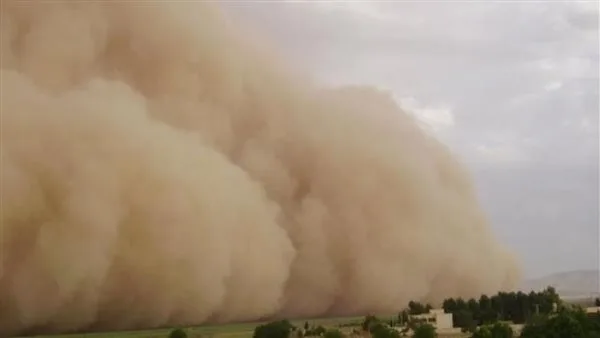 بعد توجيه الوزير.. الجامعات تعلن تعطيل الدراسة غدًا لسوء الأحوال الجوية | بث مباشر