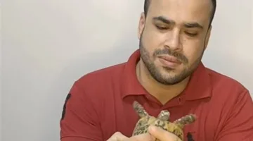 بياكل سلاحف وديدان| هجوم على صانع محتوى بسبب تناوله حيوانات.. ومطالبات بتدخل المسؤولين
