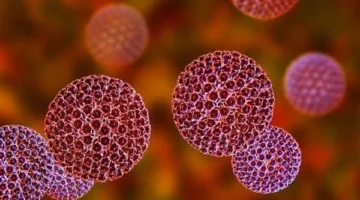 تحذير صحي عاجل في أستراليا.. ارتفاع إصابات مرض قاتل يهدد البشر والحيوانات الأليفة