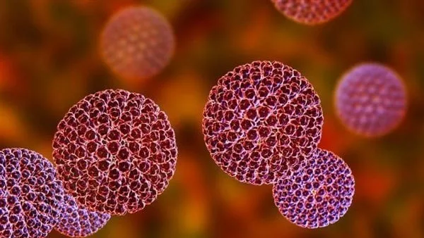 تحذير صحي عاجل في أستراليا.. ارتفاع إصابات مرض قاتل يهدد البشر والحيوانات الأليفة