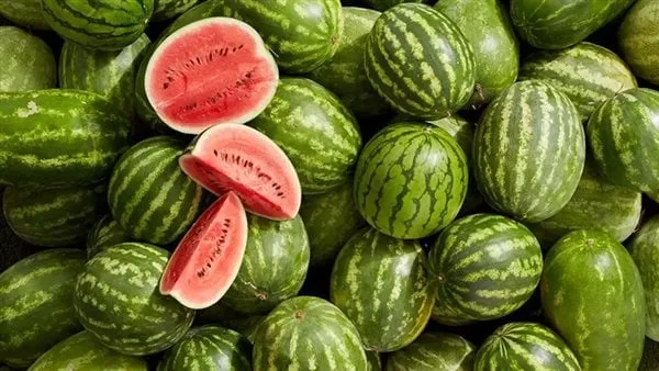 تعرف على أسعار البطيخ اليوم 28 أبريل 2025 بعد الانخفاض الأخير تعرف على أسعار البطيخ اليوم 28 أبريل 2025 بعد الانخفاض الأخير