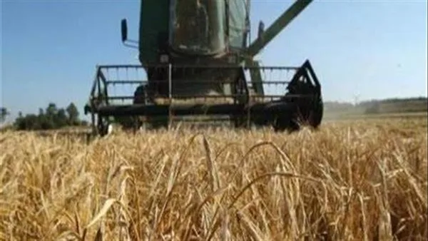 تفاصيل مصرع عامل زراعي إثر سقوطه داخل ماكينة حصاد الفول بالبحيرة | بث مباشر