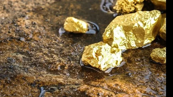 تمهيدا لبدء الاستكشاف بمناطق واعدة.. البترول: باريك جولد تجري زيارة ميدانية للمواقع التعدينية بالصحراء الشرقية تمهيدا لبدء الاستكشاف بمناطق واعدة.. البترول: باريك جولد تجري زيارة ميدانية للمواقع التعدينية بالصحراء الشرقية