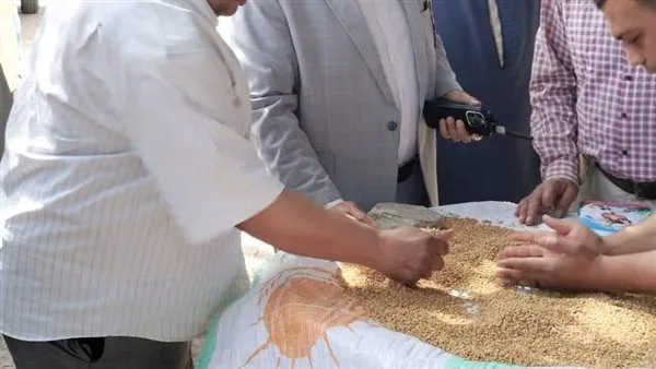 تموين الدقهلية: توريد 3355 طن قمح في أسبوع