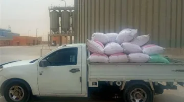 تموين السويس تعلن عن توريد 298 طن قمح إلى الصوامع