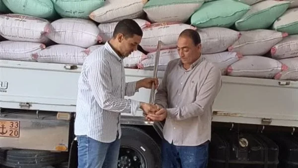 توريد 9203 أطنان قمح لشون وصوامع البحيرة توريد 9203 أطنان قمح لشون وصوامع البحيرة