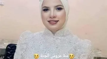 حرقها ورماها في المقابر.. تأييد إعدام قاتل منة الله عروس المنيا