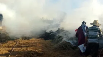حريق يلتهم شون قمح في الوادي الجديد | صور