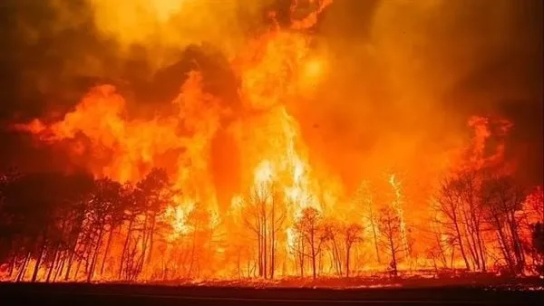 خبراء يحذرون من كوارث طبيعية ستضرب 33 ولاية أمريكية بسبب الجفاف خبراء يحذرون من كوارث طبيعية ستضرب 33 ولاية أمريكية بسبب الجفاف