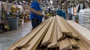 رئيس غرفة الأخشاب: توجيهات الرئيس بتطبيق ضريبة موحدة من صافي الربح تعزز الشفافية وتدعم الصناعة الوطنية