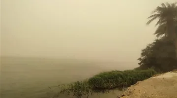 رياح مثيرة للرمال والأتربة وضعف مستوى الرؤية.. كيف تأثرت سوهاج بالعاصفة والطقس السيئ؟| صور