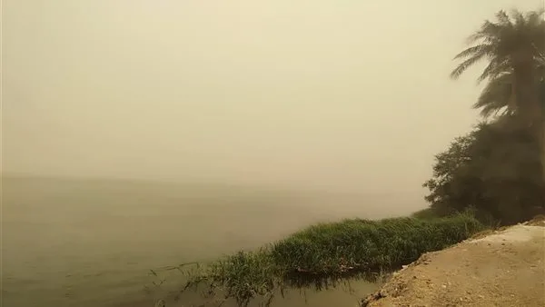 رياح مثيرة للرمال والأتربة وضعف مستوى الرؤية.. كيف تأثرت سوهاج بالعاصفة والطقس السيئ؟| صور