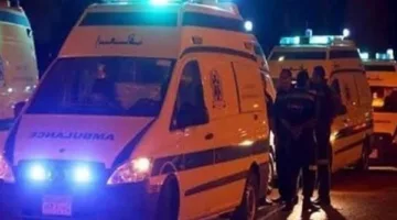 شاب ينهي حياة آخر بسبب خلافات على أولوية المرور بالمنوفية | بث مباشر