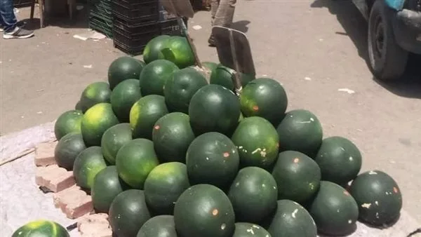 شعبة الفاكهة: تراجع تدريجي لأسعار البطيخ من 250 لـ 70 جنيهًا للواحدة مع زيادة المعروض شعبة الفاكهة: تراجع تدريجي لأسعار البطيخ من 250 لـ 70 جنيهًا للواحدة مع زيادة المعروض