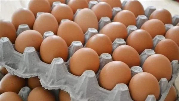شعبة المواد الغذائية: أسعار البيض تواصل التراجع.. والبيضة بـ 4 جنيهات بدلًا من 6 شعبة المواد الغذائية: أسعار البيض تواصل التراجع.. والبيضة بـ 4 جنيهات بدلًا من 6