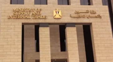 شعبة المواد الغذائية تطالب وزير التموين بعدم تحصيل الحافز لحين الفصل في قضايا البقالين