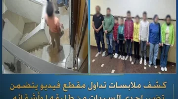 ضبط 9 أشخاص في واقعة اعتداء طليق سيدة وأشقائه عليها بالإسكندرية