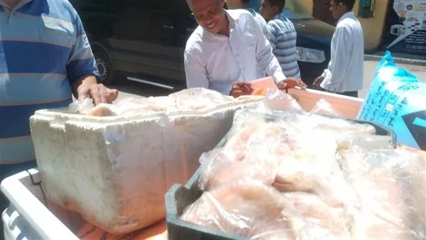 ضبط نصف طن أسمدة مدعمة وتحرير عشرات المخالفات خلال 48 ساعة في الأقصر