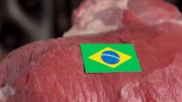 عضو بدار الإفتاء الليبية: اكتشافنا ثغرات في متطلبات الذبح الحلال ببعض مذابح البرازيل عضو بدار الإفتاء الليبية: اكتشافنا ثغرات في متطلبات الذبح الحلال ببعض مذابح البرازيل