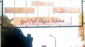 لخدمة 350 ألف نسمة.. محافظ أسوان يشكل لجنة لوضع الحلول الفنية لانتظام تشغيل محطة مياه كوم أمبو