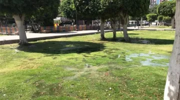 محافظ أسوان: رفع درجة الاستعداد القصوى لتأمين احتفالات أعياد الربيع وشم النسيم