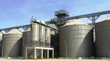 محافظ أسوان يتابع توريد 40 ألف و768 طنا من القمح بالصوامع والشون والبناكر