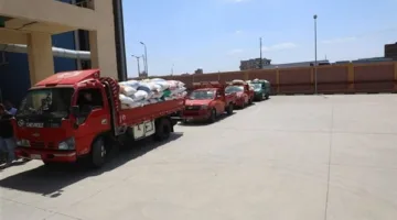 محافظ المنوفية: توريد 1200 طن قمح منذ بدء الموسم وسط تسهيلات كبيرة