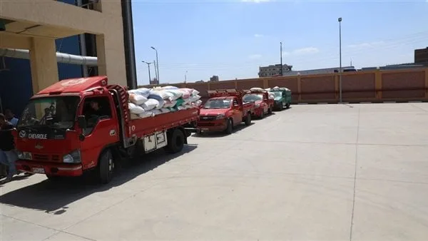 محافظ المنوفية: توريد 1200 طن قمح منذ بدء الموسم وسط تسهيلات كبيرة