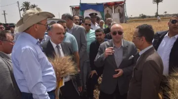محافظ بني سويف يفتتح موسم حصاد القمح بإهناسيا الخضراء.. ويوجه بتيسير إجراءات التوريد