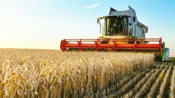 محافظ بورسعيد يشهد اليوم حصاد القمح بمشروع ناصر بحي الجنوب