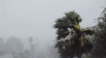 محافظة كفر الشيخ ترفع درجة الاستعداد بسبب التقلبات الجوية