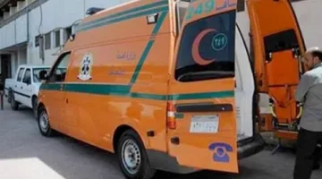 مصرع سائق في انقلاب سيارة ربع نقل على طريق أسيوط الغربي بالفيوم