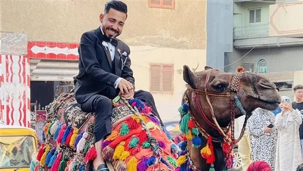 مميزة وفريدة من نوعها.. عريس من ذوي الهمم يعيد إحياء التراث بزفة على الجمل في زفافه بالشرقية مميزة وفريدة من نوعها.. عريس من ذوي الهمم يعيد إحياء التراث بزفة على الجمل في زفافه بالشرقية