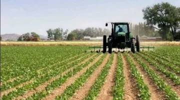 من قلب الصحراء إلى مجلس الشيوخ.. مشروع مصري يُحدث نجاحًا علميًا في استصلاح الأراضي