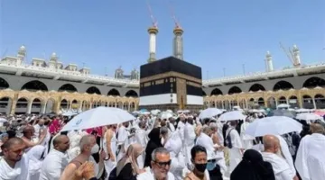 من يخالف يعرض نفسه للمساءلة القانونية.. السياحة تمنح الشركات 48 ساعة لاستكمال بيانات الحجاج