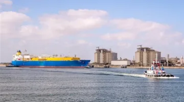 ميناء دمياط يستقبل 3785 رأس ماشية بإجمالي وزن 1123 طنا