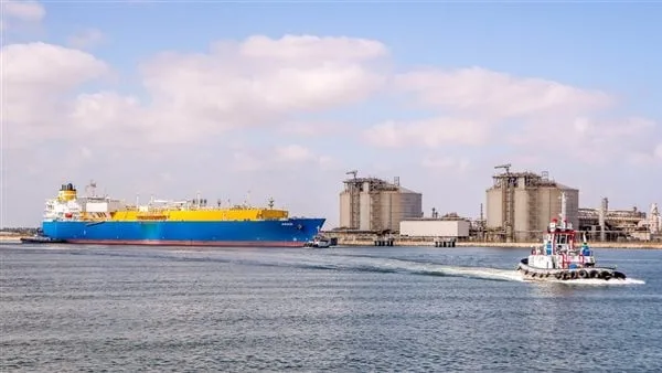 ميناء دمياط يستقبل 3785 رأس ماشية بإجمالي وزن 1123 طنا ميناء دمياط يستقبل 3785 رأس ماشية بإجمالي وزن 1123 طنا