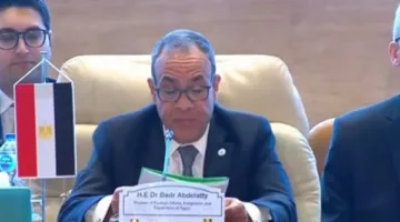 وزير الخارجية يستقبل أعضاء مجلس التعاون المصري الكويتي.. اليوم