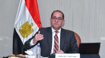 وزير المالية: الاستثمارات المحلية في مصر زادت 80% خلال الفترة الأخيرة