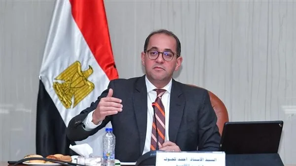وزير المالية: الاستثمارات المحلية في مصر زادت 80% خلال الفترة الأخيرة وزير المالية: الاستثمارات المحلية في مصر زادت 80% خلال الفترة الأخيرة