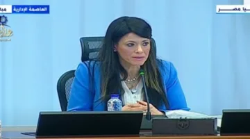 وزيرة التخطيط: البنك الدولي وصندوق النقد يشيدان بتقدم مصر في تنفيذ برنامج الإصلاح الاقتصادي