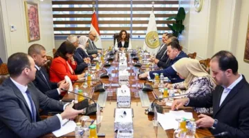 وزيرة التنمية المحلية تبحث مع محافظ القليوبية ورئيس صندوق التنمية الحضرية استغلال بعض الأراضي لإقامة مشروعات