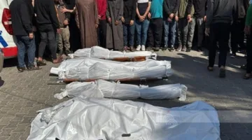 وسائل إعلام فلسطينية: 16 شهيدًا بقصف للاحتلال الإسرائيلي على غزة منذ فجر اليوم