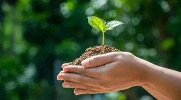 يوم الأرض 2025.. تاريخ وأهداف الاحتفال