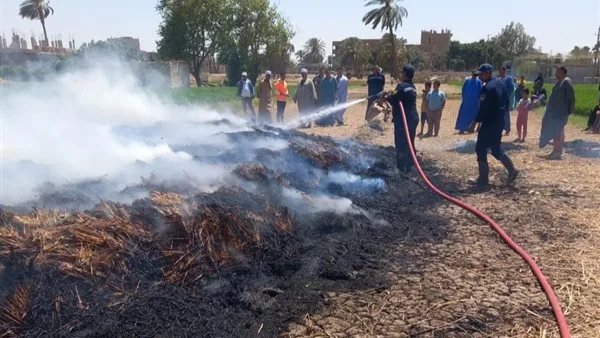 شقى الناس ضاع.. حريق يلتهم فدانا من محصول القمح بسوهاج