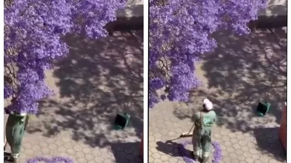 على هيئة قلب.. عامل نظافة سعودي ينسق أوراق الشجر المتساقطة ويثير إعجاب السوشيال ميديا