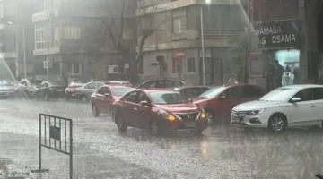 أمطار متفاوتة الشدة على القاهرة والجيزة.. وانخفاض في درجات الحرارة