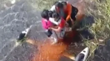 وسط التماسيح والأناكوندا.. نجاة 5 أشخاص بعد تحطم طائرتهم في غابات الأمازون