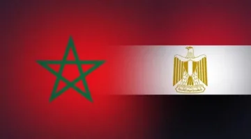 غدا.. وزير الاستثمار يعقد مؤتمرا صحفيا مع رجال الأعمال من المغرب لتعزيز العلاقات الاقتصادية