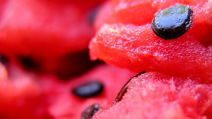 البطيخ والجبن البراميلي 